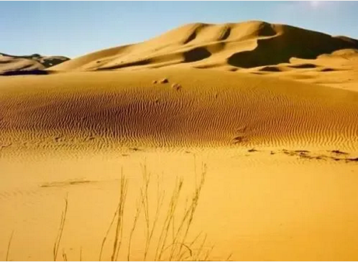 湖北EBET易博绿色能源有限公司