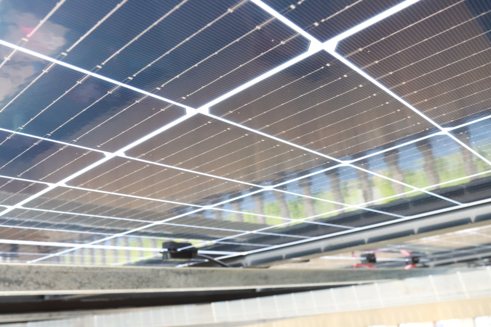 湖北EBET易博绿色能源有限公司