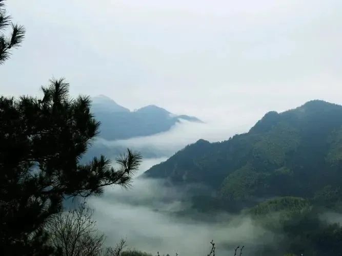 湖北EBET易博绿色能源有限公司