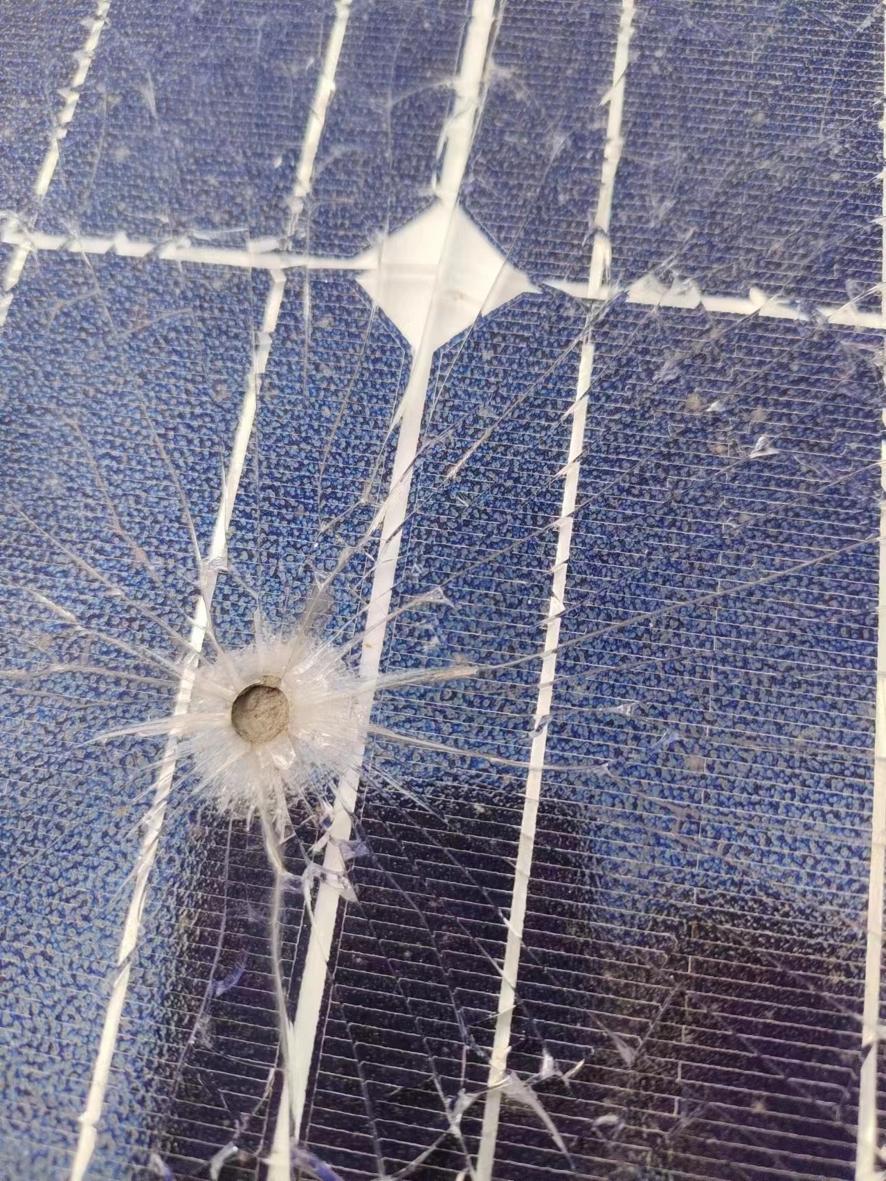 湖北EBET易博绿色能源有限公司